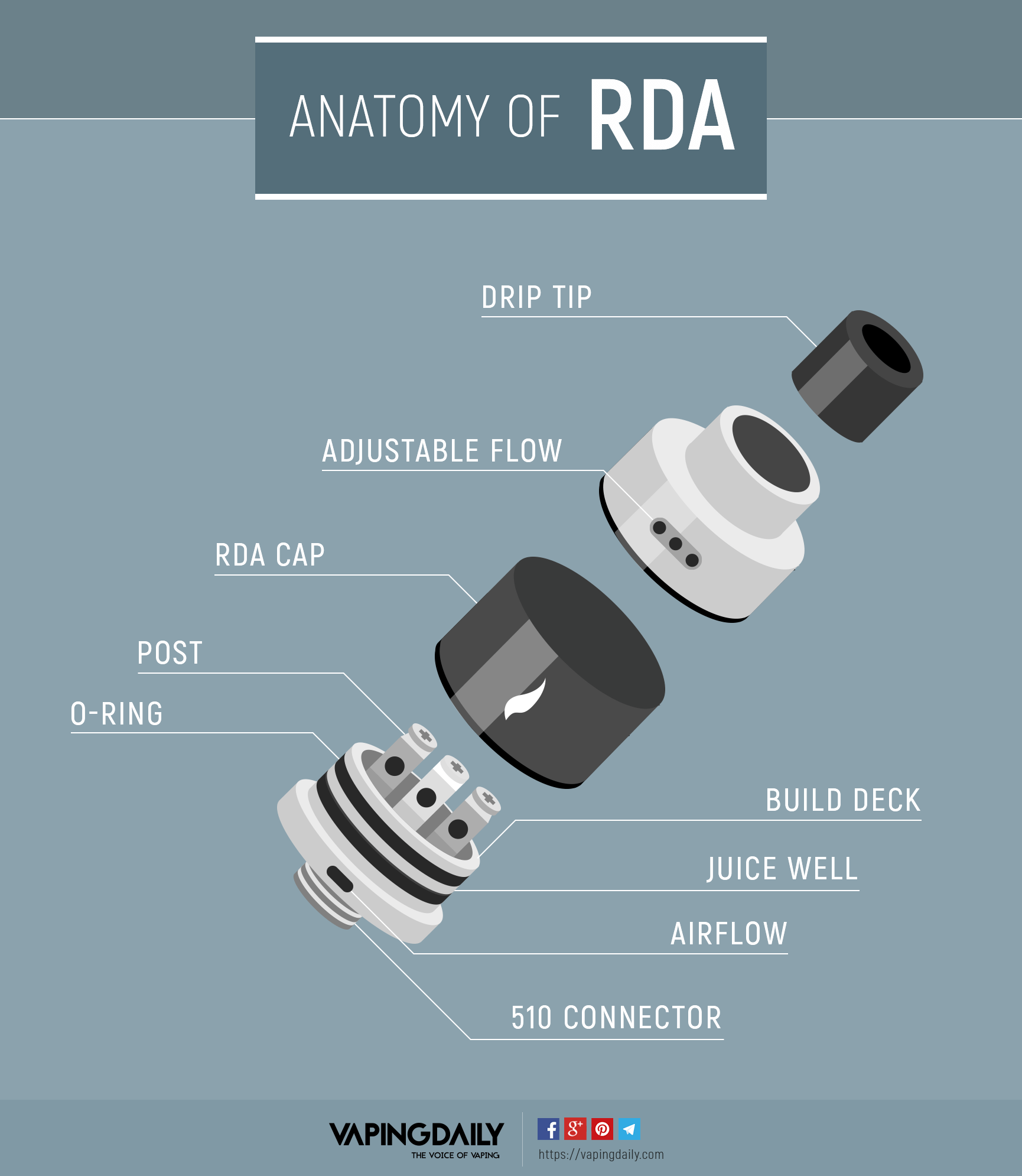 RDA的解剖-信息图
